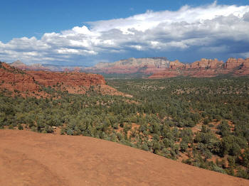 Hign on the Hog Trail -- Picture 24