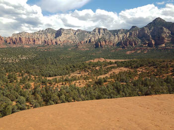 Hign on the Hog Trail -- Picture 25