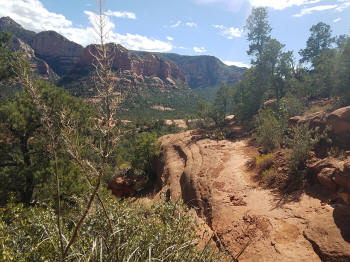 High on the Hog Trail -- Trail End - Picture 26