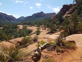 High on the Hog Trail - Trail End -- Picture 29