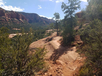 High on the Hog Trail - End of Trail -- Picture 32