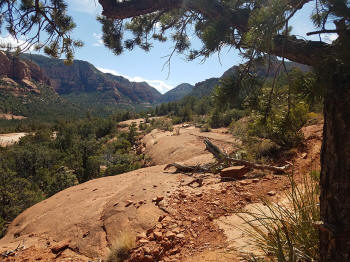 High on the Hog Trail - End of Trail -- Picture 33