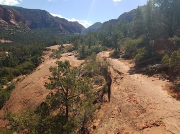 High on the Hog Trail - End of Trail -- Picture 34