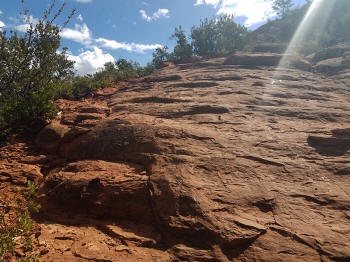 Hog Heaven - Ascent - Picture 2