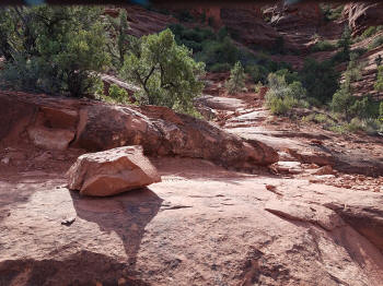 Hog Heaven Trail - Picture 3