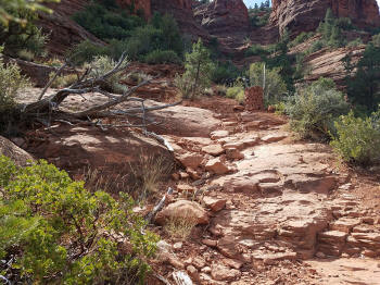 Hog Heaven Trail - Picture 4