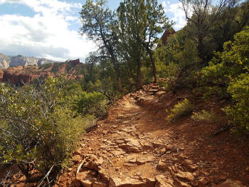 Hog Heaven Trail - Picture 7