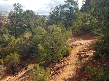 Hog Heaven Trail - Picture 9