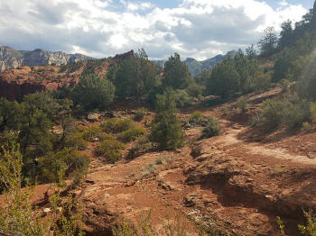 Hog Heaven Trail - Picture 10