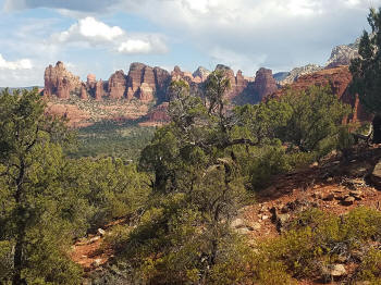 Hog Heaven Trail - Picture 12