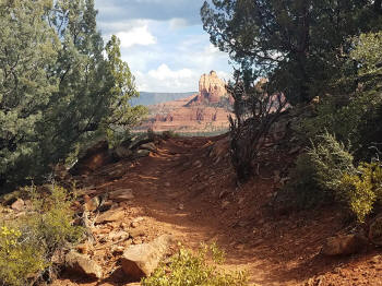 Hog Heaven Trail - Picture 14