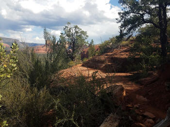 Hog Heaven Trail - Picture 17
