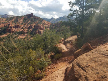 Hog Heaven Trail - Picture 20