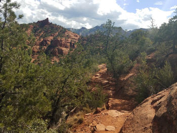 Hog Heaven Trail - Picture 21