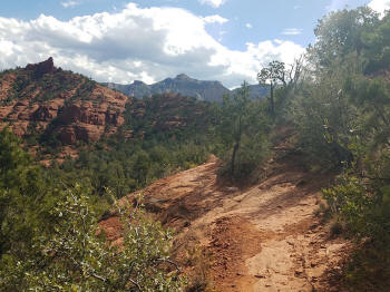 Hog Heaven Trail - Picture 22