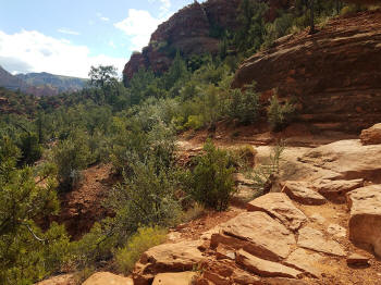 Hog Heaven Trail - Picture 24
