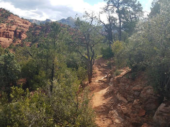 Hog Heaven Trail - Picture 25