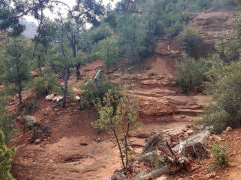 Hog Heaven Trail - Picture 26