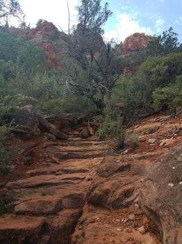 HogHeavenTrail-Picture28