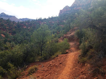 HogHeavenTrail-Picture32