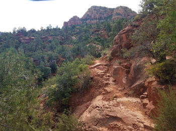 HogHeavenTrail-Picture33