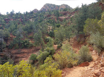 HogHeavenTrail-Picture34
