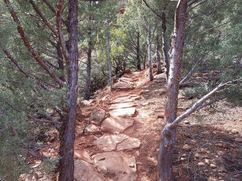 HogHeavenTrail-Picture37