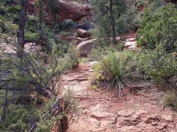 HogHeavenTrail-Picture38