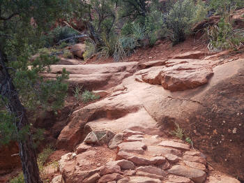 HogHeavenTrail-Picture39