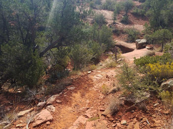 Hog Heaven Trail - Descent - Picture 18