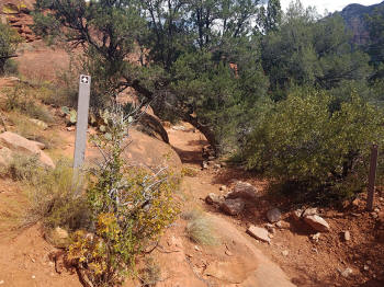 Hog Heaven Trail - Descent - Picture 19