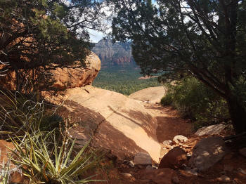 Hog Heaven Trail - Descent - Picture 20