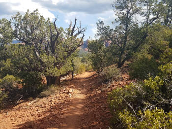 Hog Wash Trail Picture 11