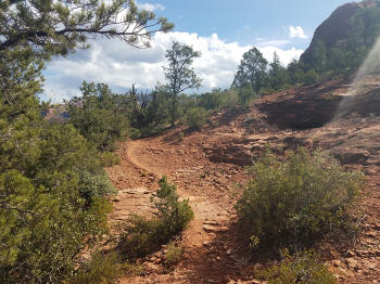 Hog Wash Trail Picture 16