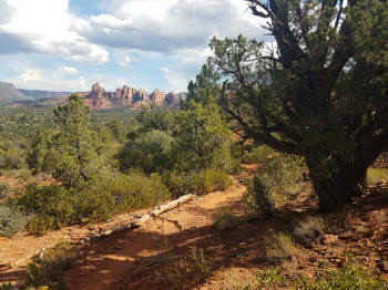 Hog Wast Trail Picture 17