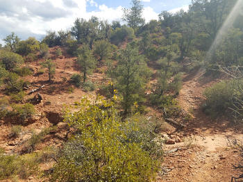 Hog Wash Trail Picture 22