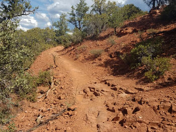 Hog Wash Trail Picture 23