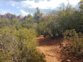 Hog Wash Trail Picture 24