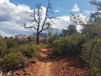Hog Wash Trail Picture 35