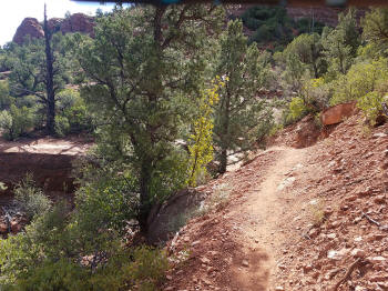 Hog Wash Trail Picture 26