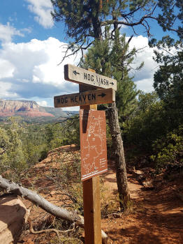 Hog Wash Trail Picture 27