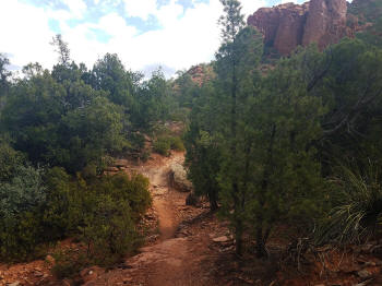 Hog Wash Trail Picture 3