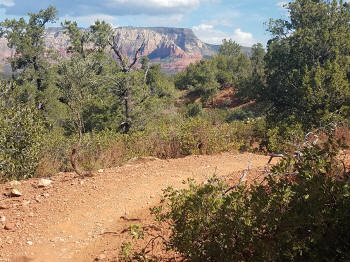 Hog Wash Trail - Picture 5