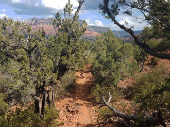Hog Wash Trail Picture 9