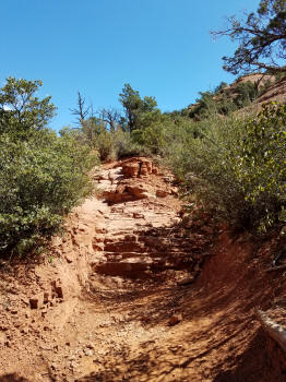Little Horse Trail Picture 18