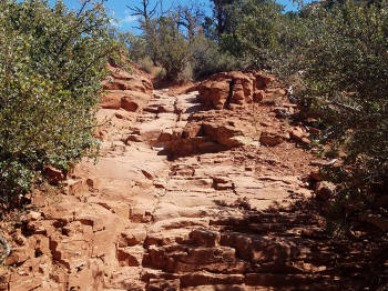 Little Horse Trail Picture 20