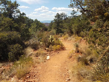 Little Horse Trail Picture 25