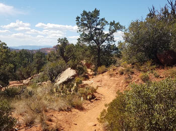 Little Horse Trail Picture 26