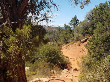 Little Horse Trail Picture 29
