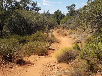 Little Horse Trail Picture 30